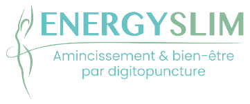 http://energyslim.fr/wp-content/uploads/2022/12/cropped-Logo_ES_360X150.png